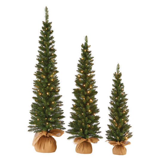 NOMA Pre-Lit Carlisle Potted Christmas Tree Set with Burlap, White LED Lights, 3-pc